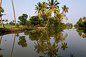 Kerala backwaters, our three hours neighborhood tour in the narrow canoe towards Vembanad Lake and along one of the  narrow canal running near our guest house at Kumarakom.